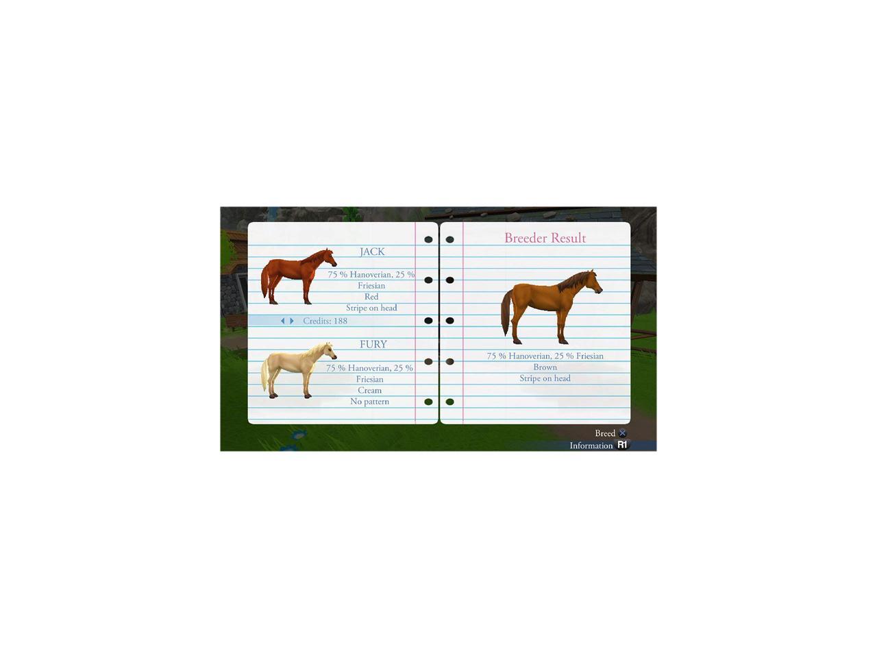 My Riding Stables Life with Horses PlayStation 4