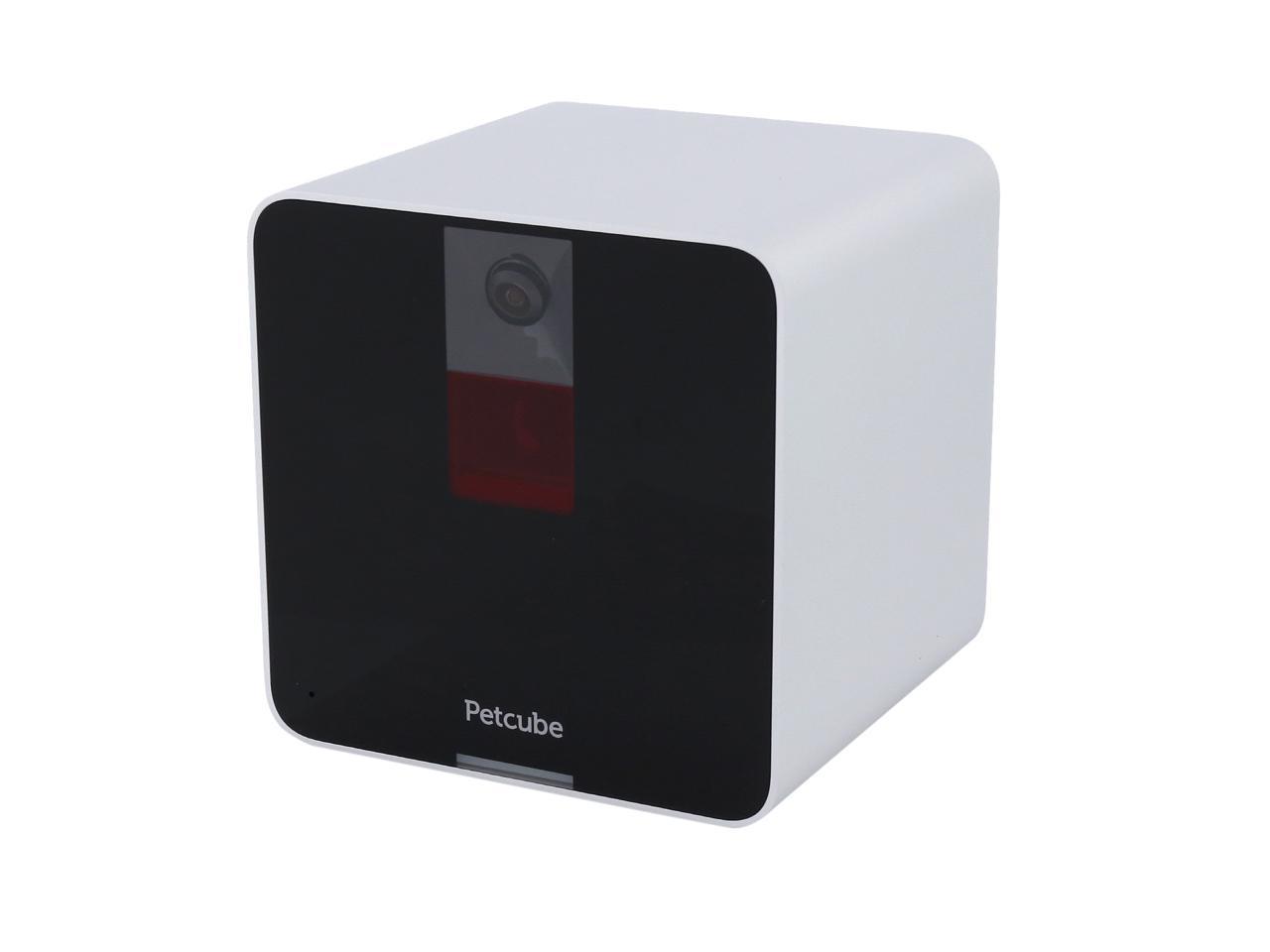 petcube 1