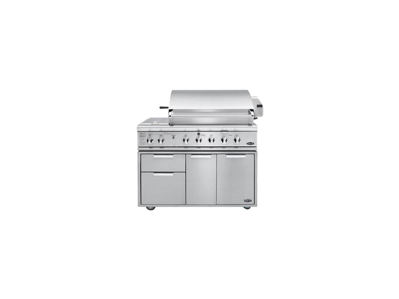 DCS BGB48BQRN Silver