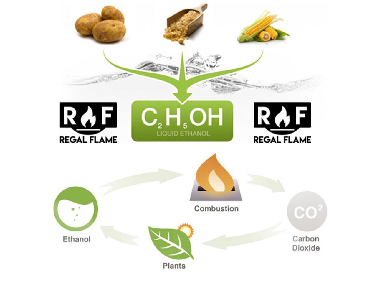 6 Quarts Regal Flame Ultra Pure Ventless Bio Ethanol Fireplace Fuel