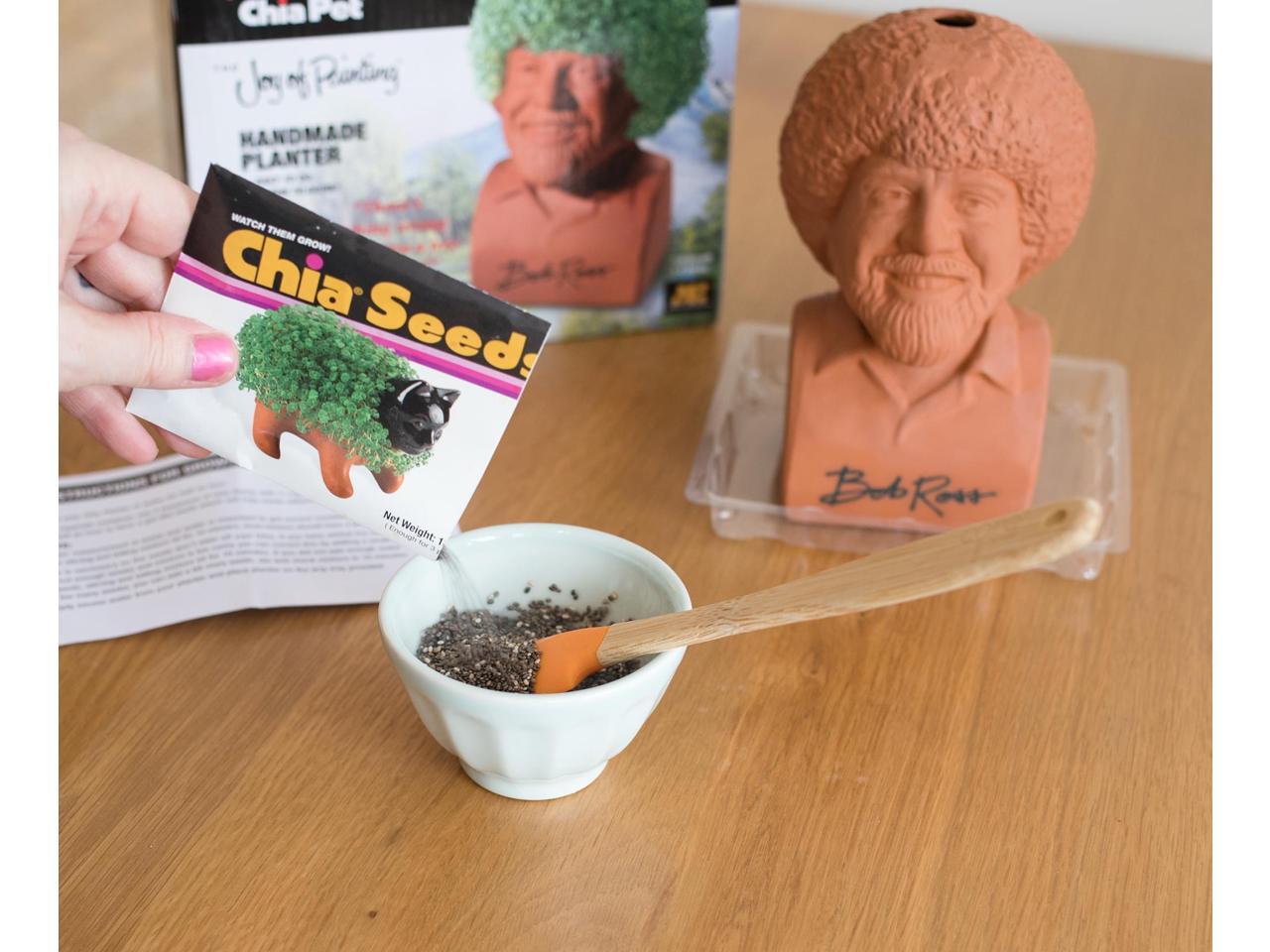chia pet bob ross walmart