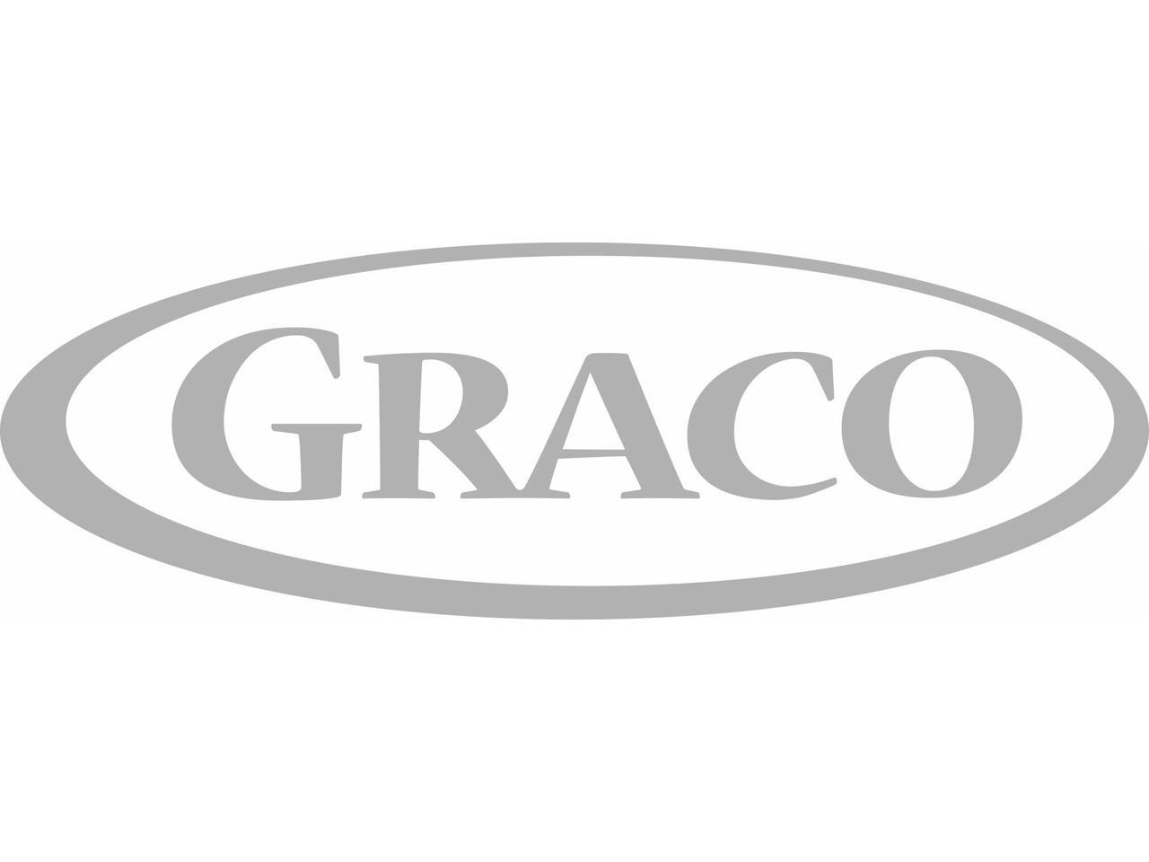 graco 1934806