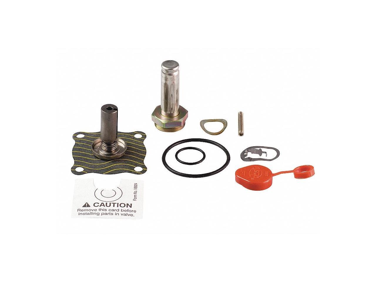 ASCO 302272 Valve Rebuild Kit,With Instructions