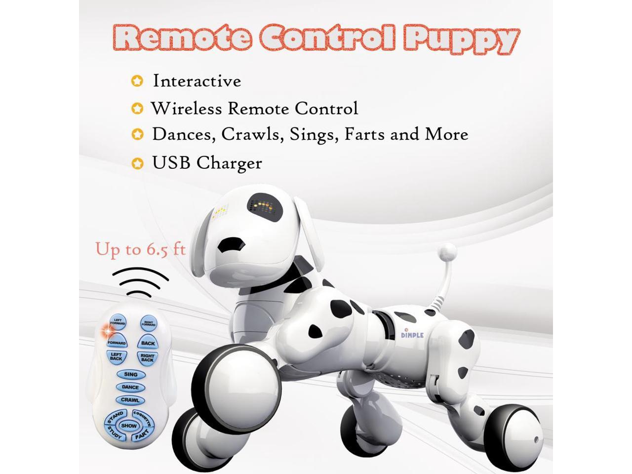 dimple robot dog