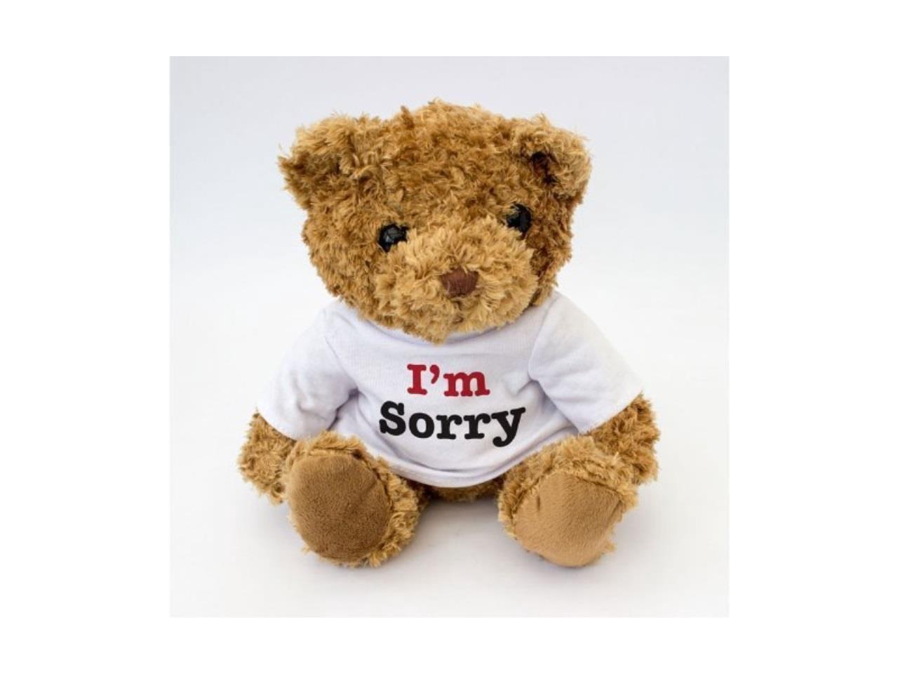 i am sorry teddy