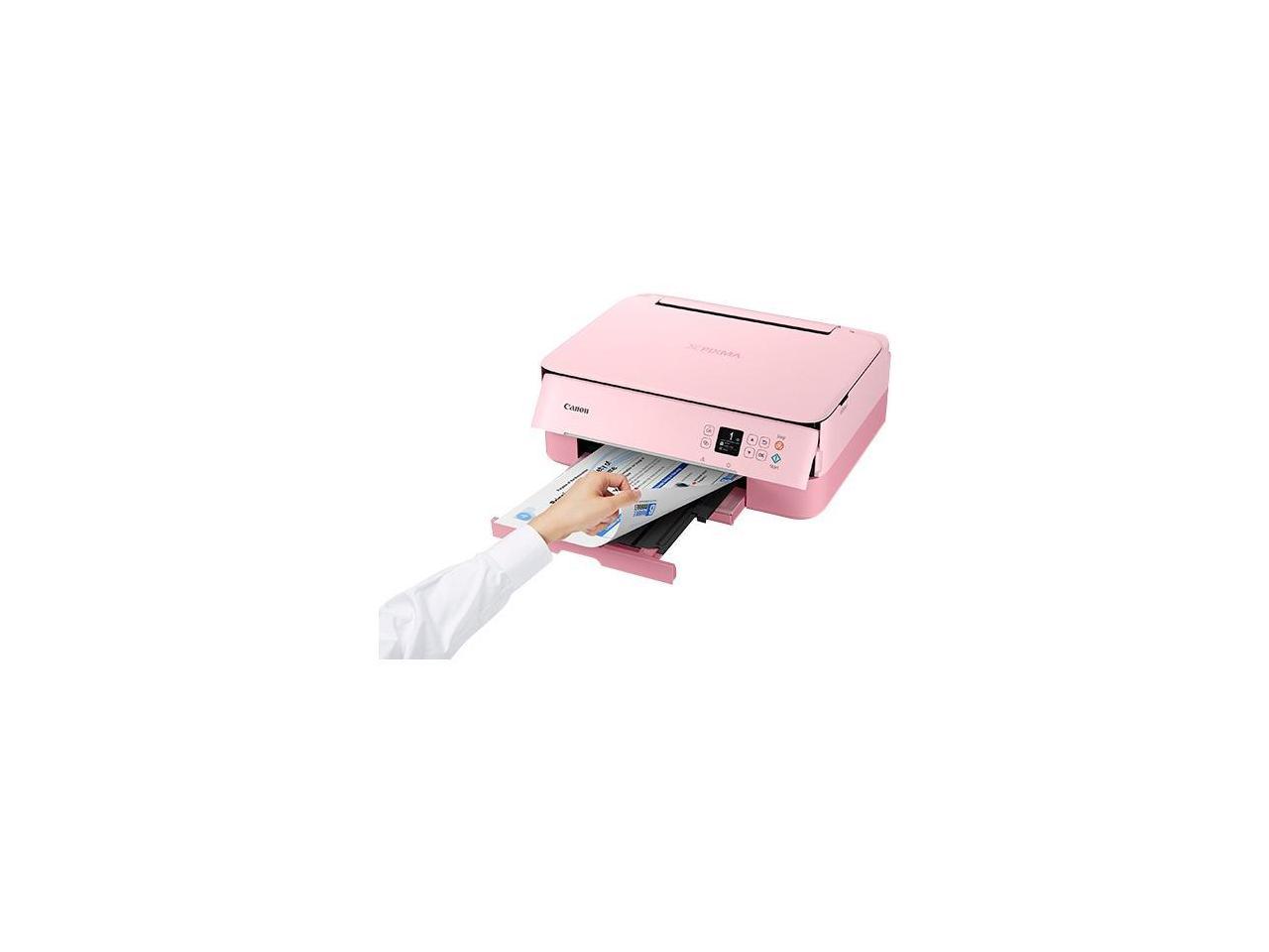 canon pixma ts5320 pink