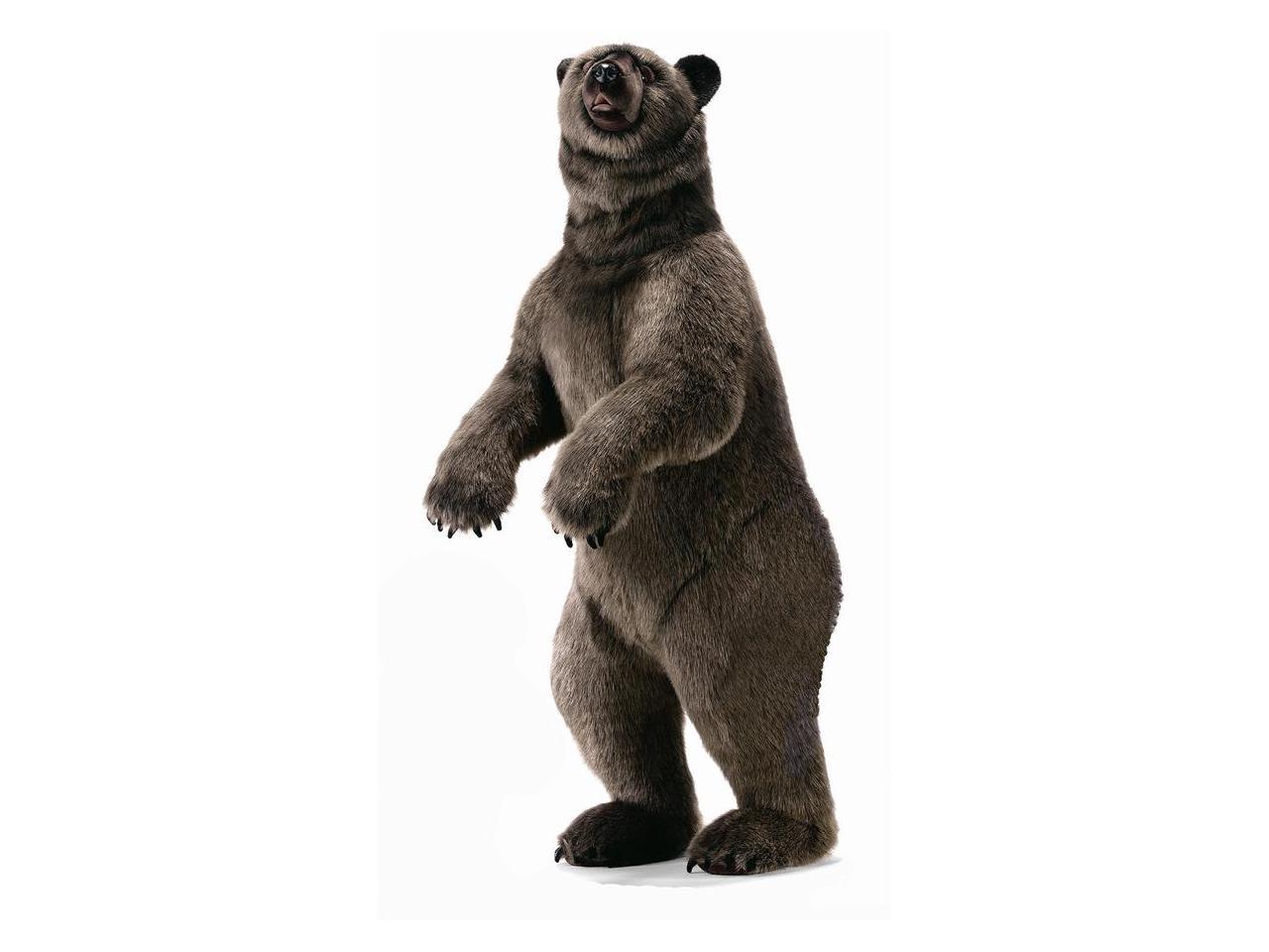 grizzly bear stuffed toy