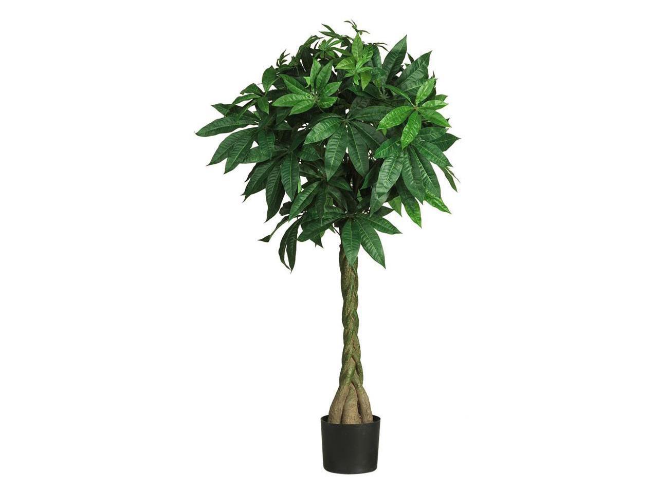 Money Tree Customer Service