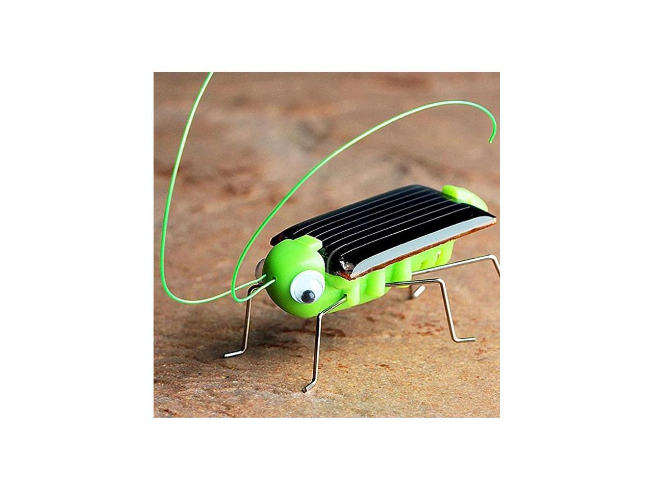 Green solar insect educational toys play toys promotion