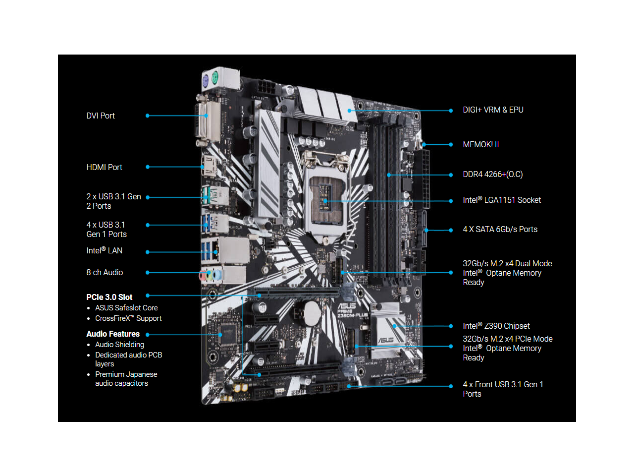 Asus optimem ii что это