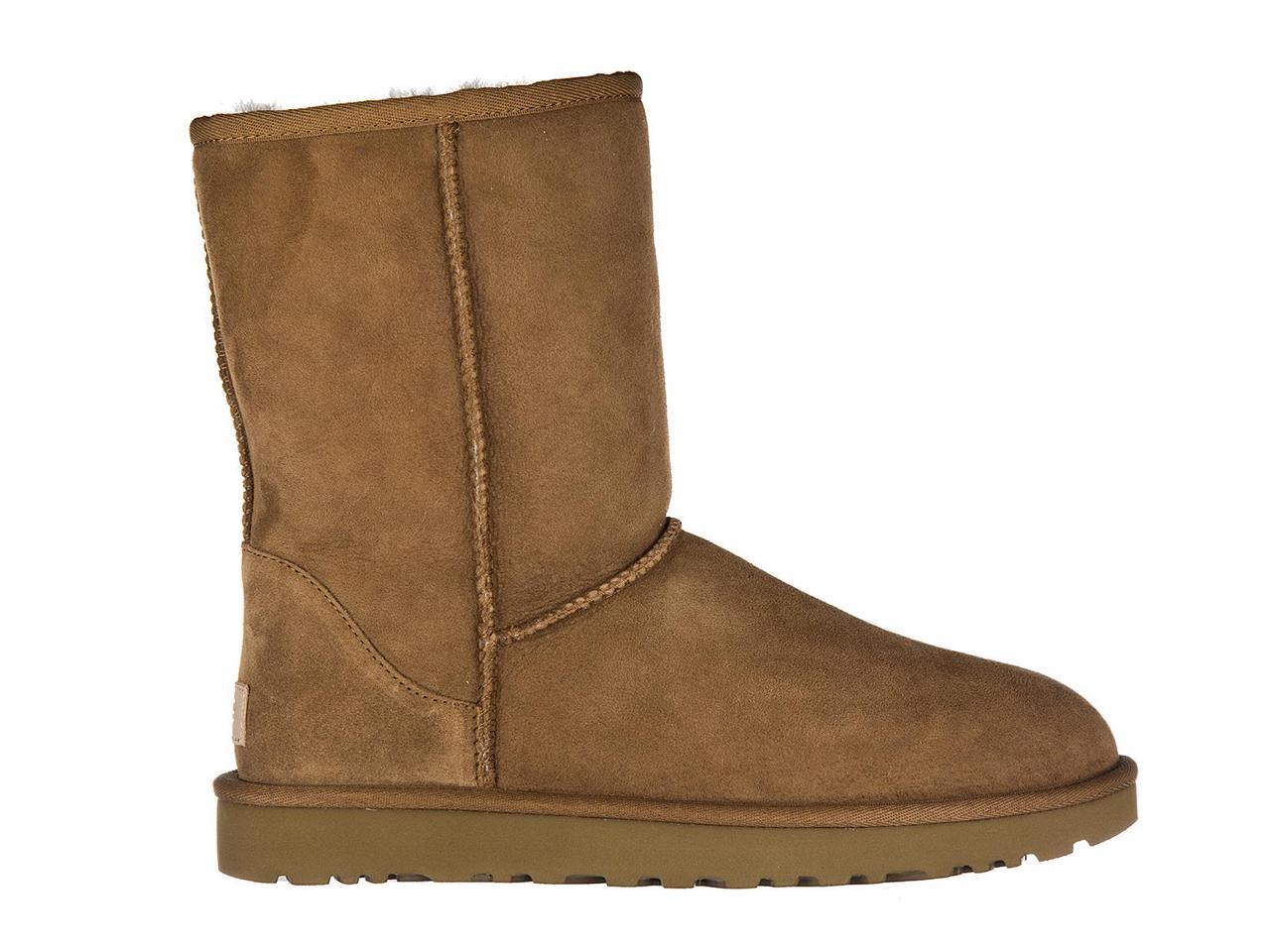 short tan uggs