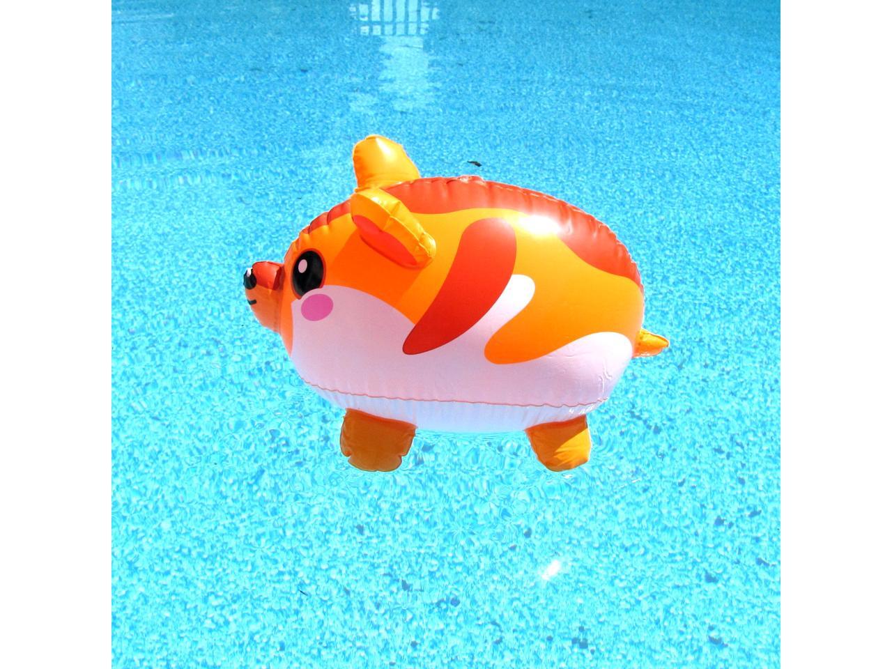 hamster pool float