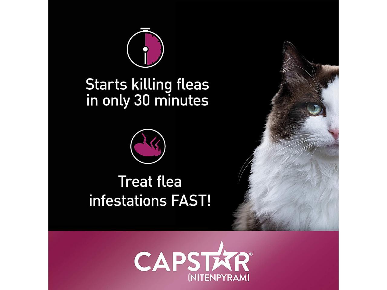 Capstar FastActing Oral Flea Treatment for Cats, 6 Doses, 11.4 mg (2
