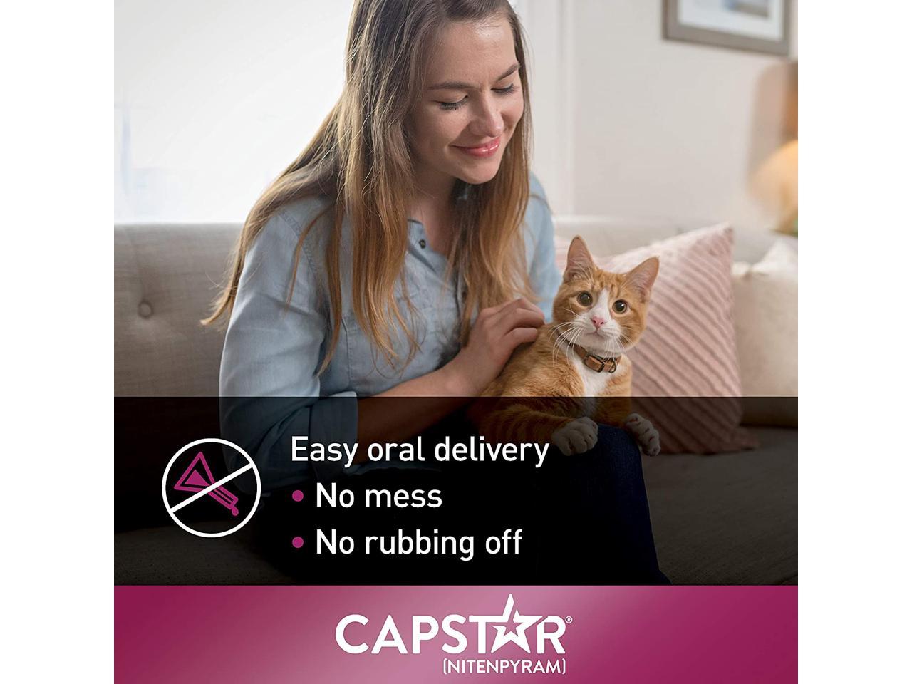 does the capster it prevent fleas
