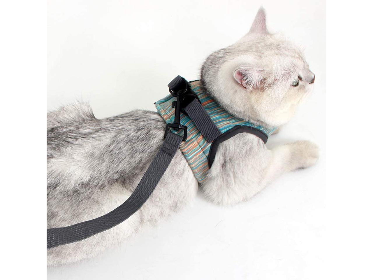 Heywean Cat Harness and Leash Ultra Light Escape Proof Kitten Collar