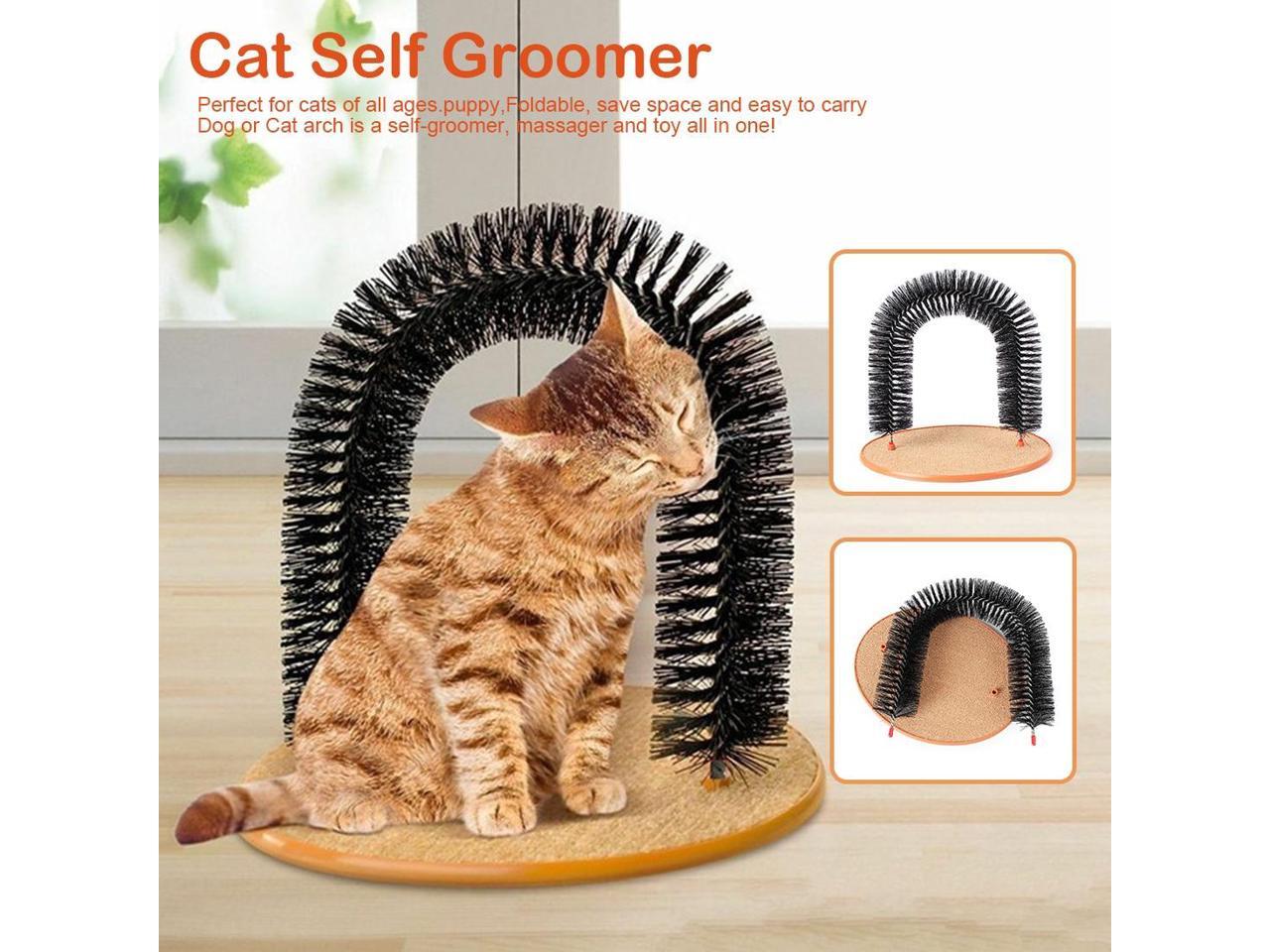 dog scratcher brush