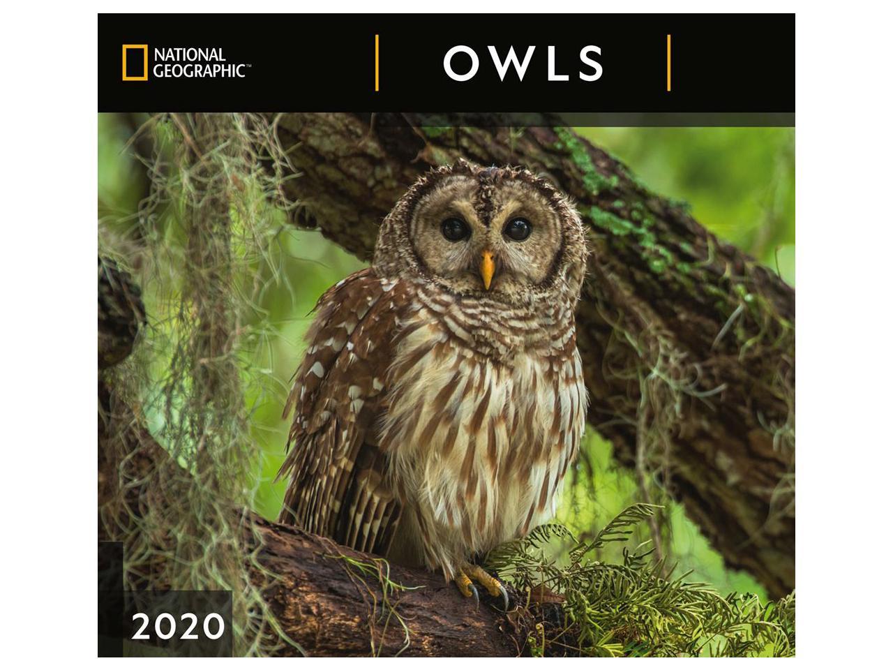 Zebra Publishing, Owls National Geographic Wall Calendar 2020