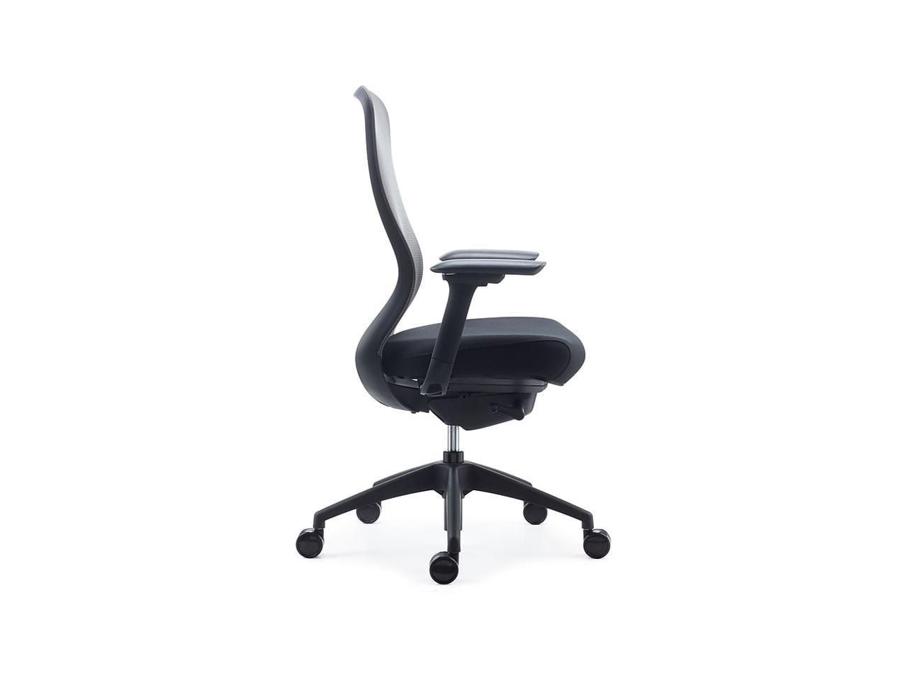 ayalon mesh and fabric task chair