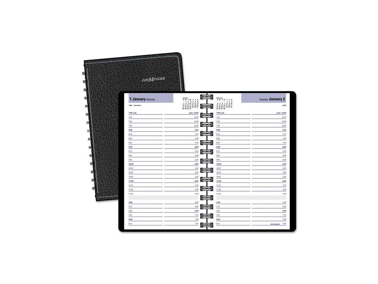AT-A-GLANCE G100-00 Daily Appointment Book With15-Minute Appointments ...