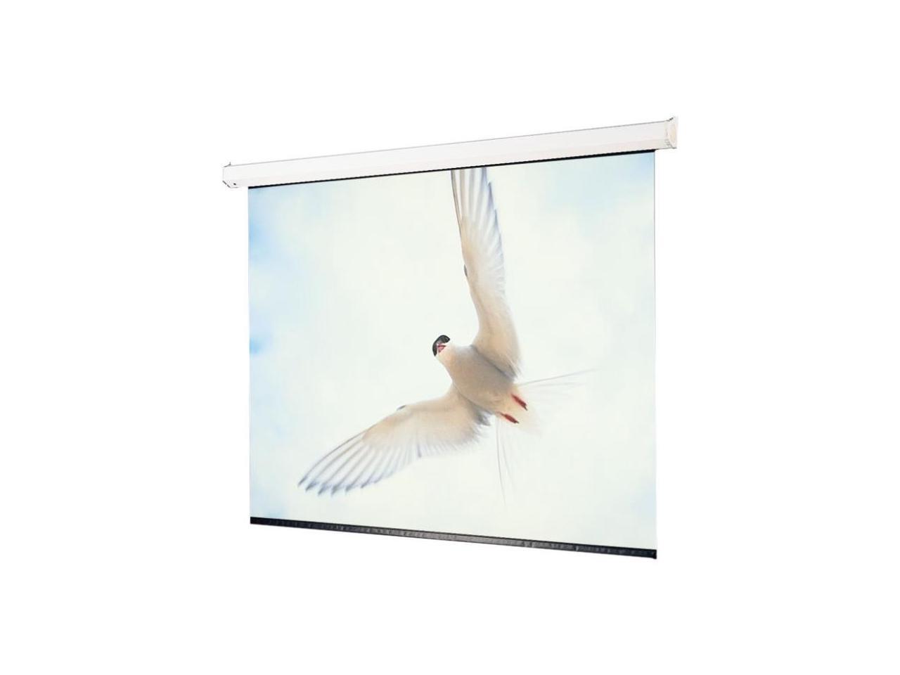 Draper Targa Electrol Projection Screen