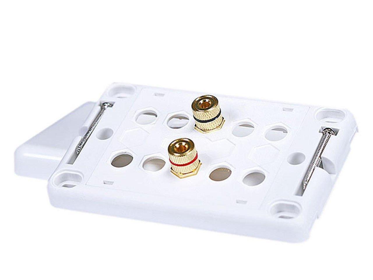 Monoprice High Quality Banana Binding Post Wall Plate For 1 Speaker