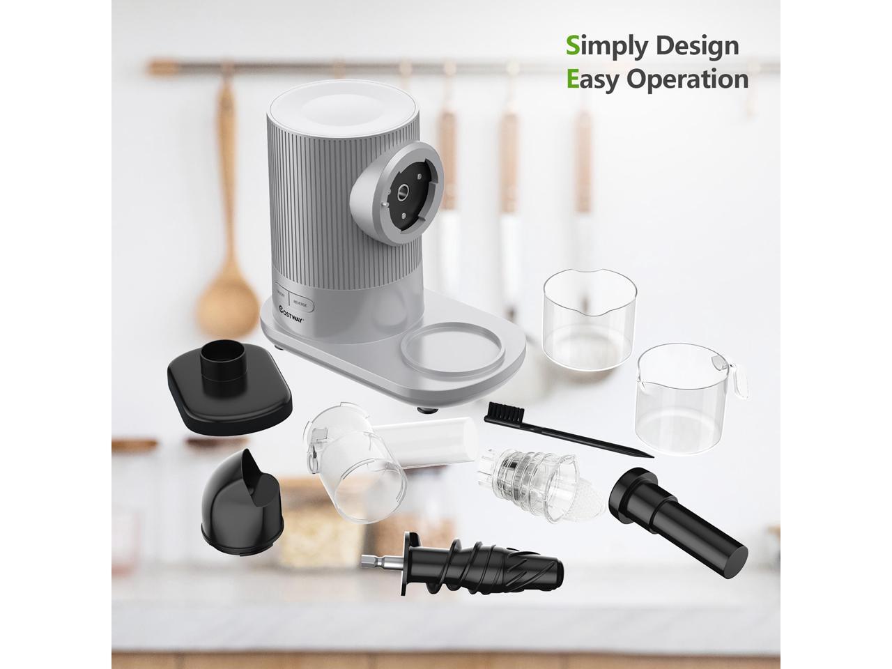 Costway Horizontal Slow Masticating Juicer Cold Press Extractor w