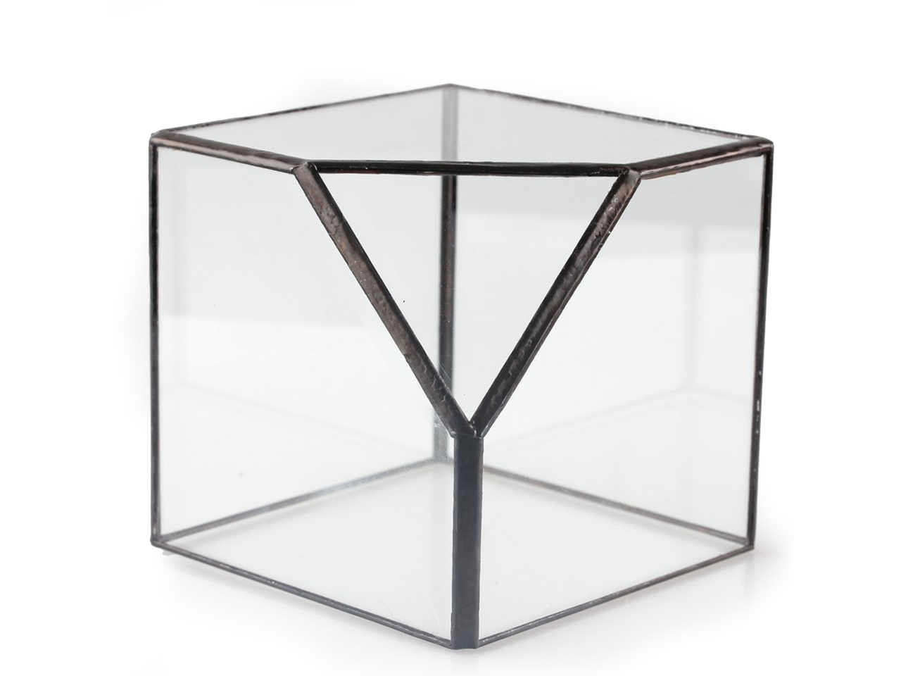 6-Inch Geometric Glass Terrarium Display Box Tilted Cube 