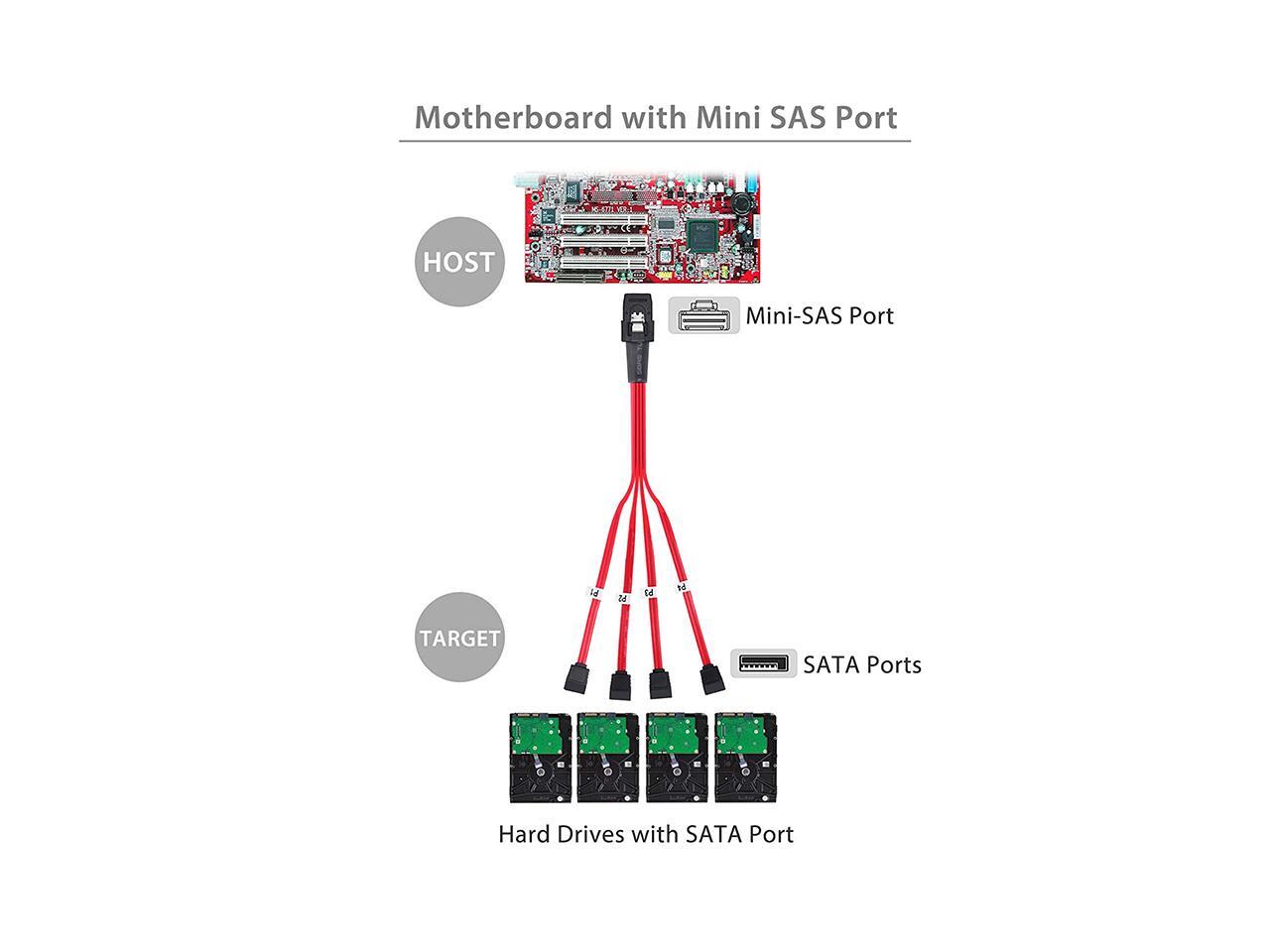 EnLabs Mini SAS to 4 SATA Cable SAS Breakout Cable Mini SAS Male SFF