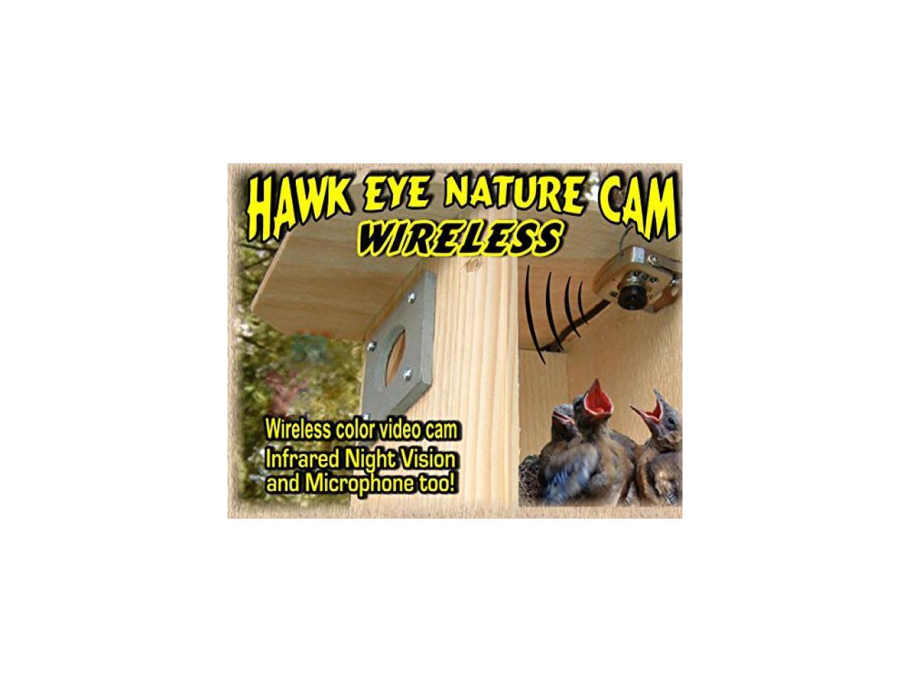 Birdhouse Spy Cam BCAMHEW HawkEye Wireless Spy Camera (Set of 1