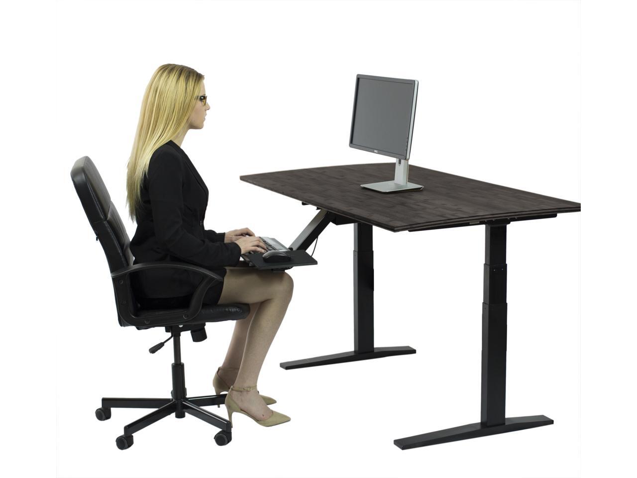 RISE UP dual motor electric standing desk 60x30" black bamboo desktop premium ergonomic