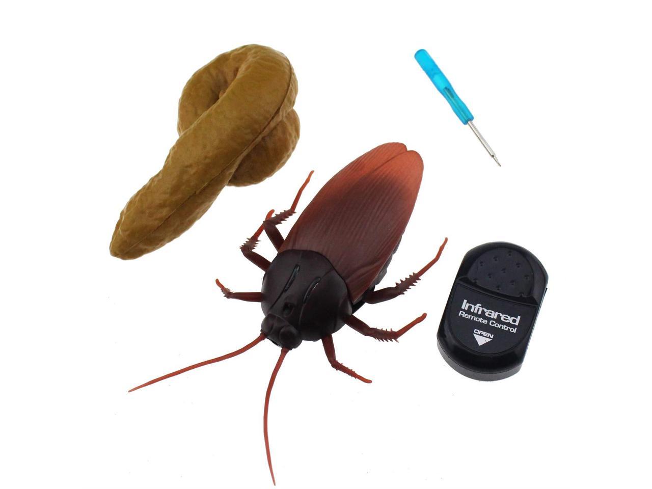 electronic cockroach toy