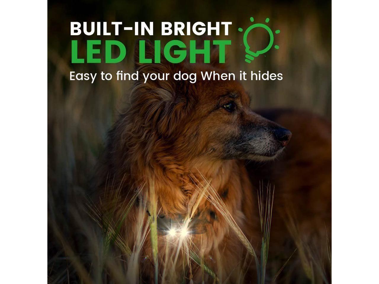 dog shock collar range