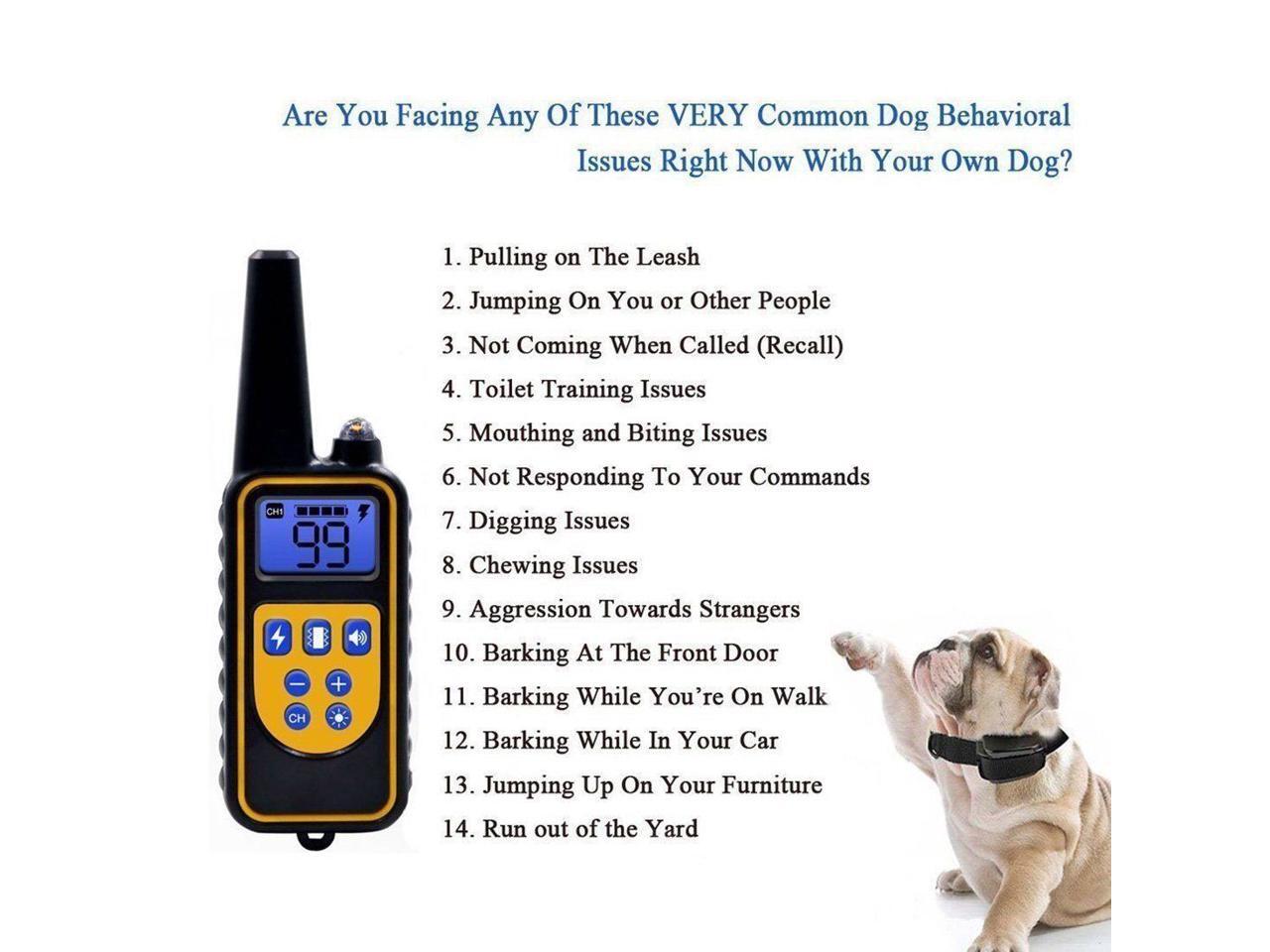 vsoo dog training collar