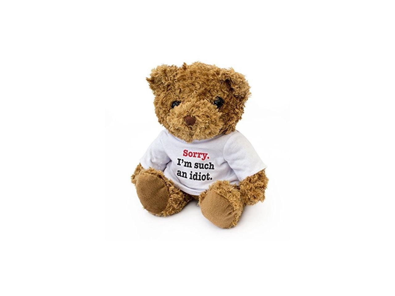 Gift Present Cute Soft Cuddly Teddy Bear SORRY I'M SUCH AN IDIOT NEW 