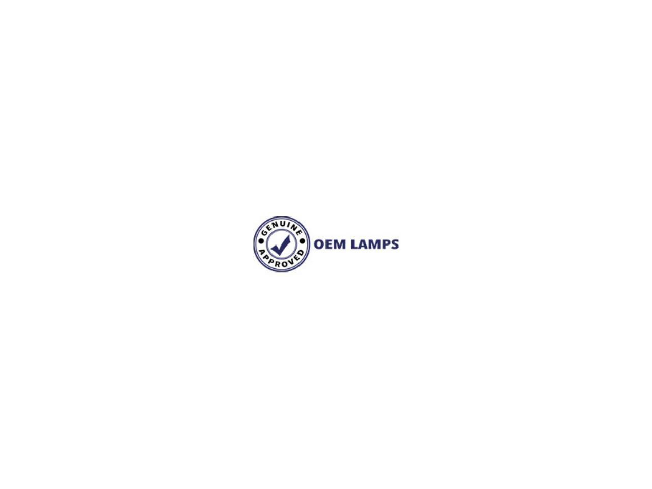 Epson ELPLP96 Replacement Projector Lamp / Bulb - Newegg.ca