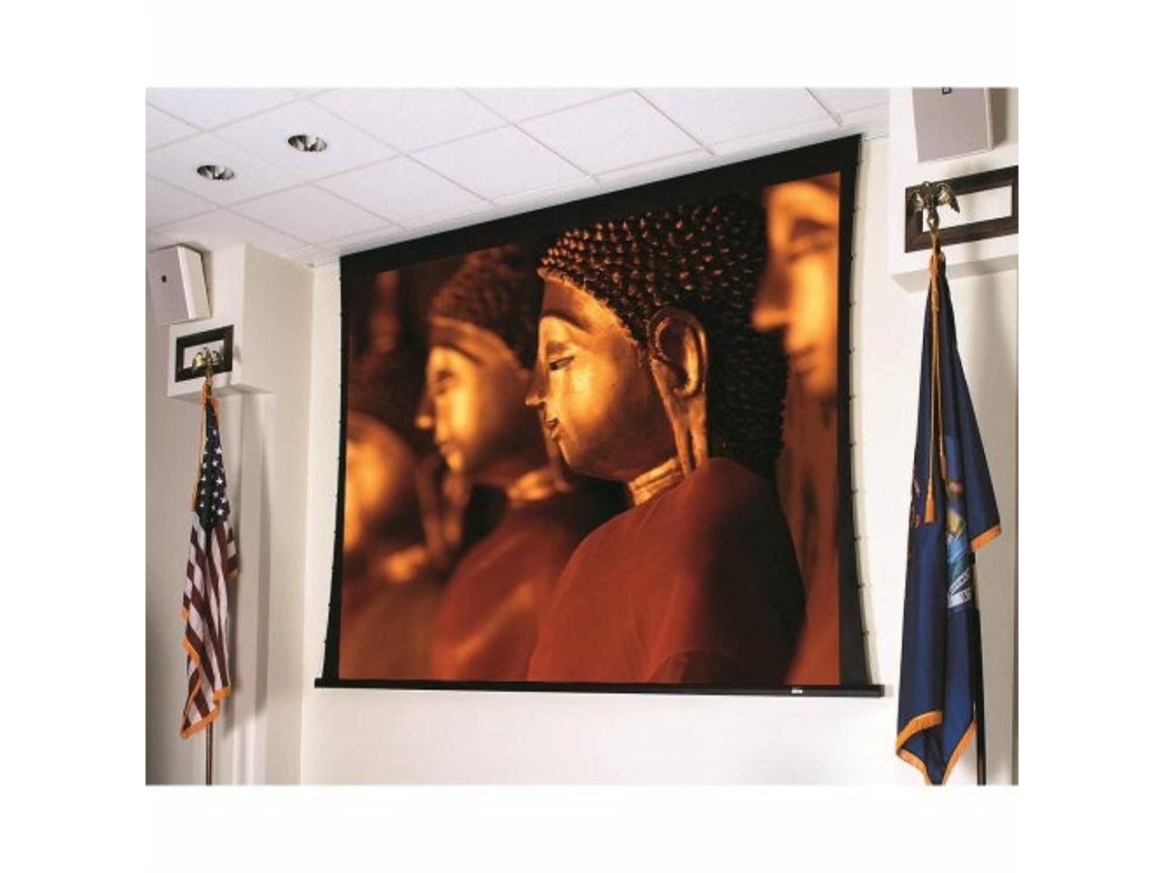 Draper Ultimate Access V Electric Projection Screen