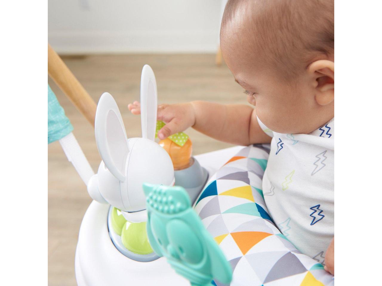 exersaucer woodland wonder
