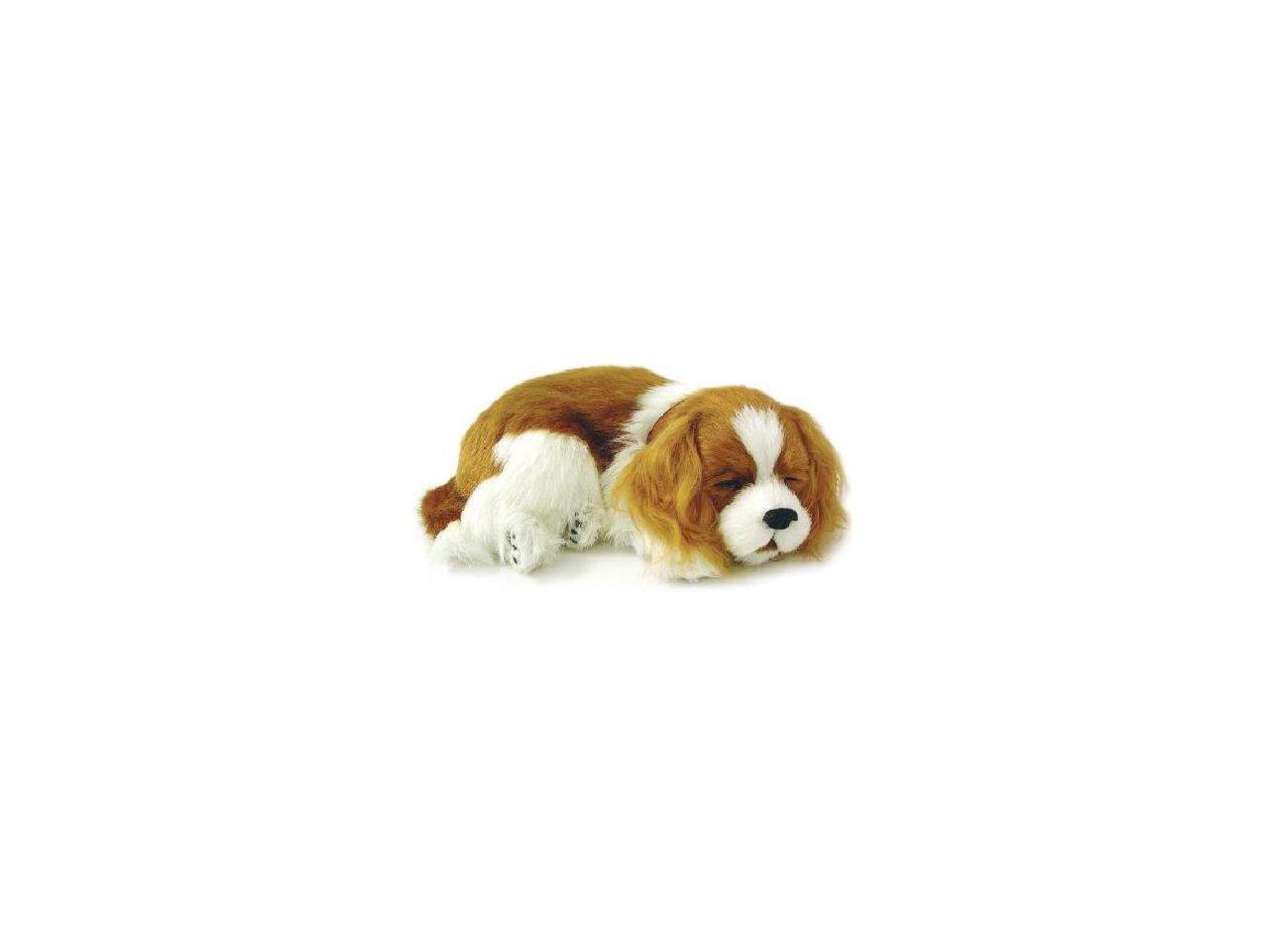 perfect petzzz cavalier king charles plush