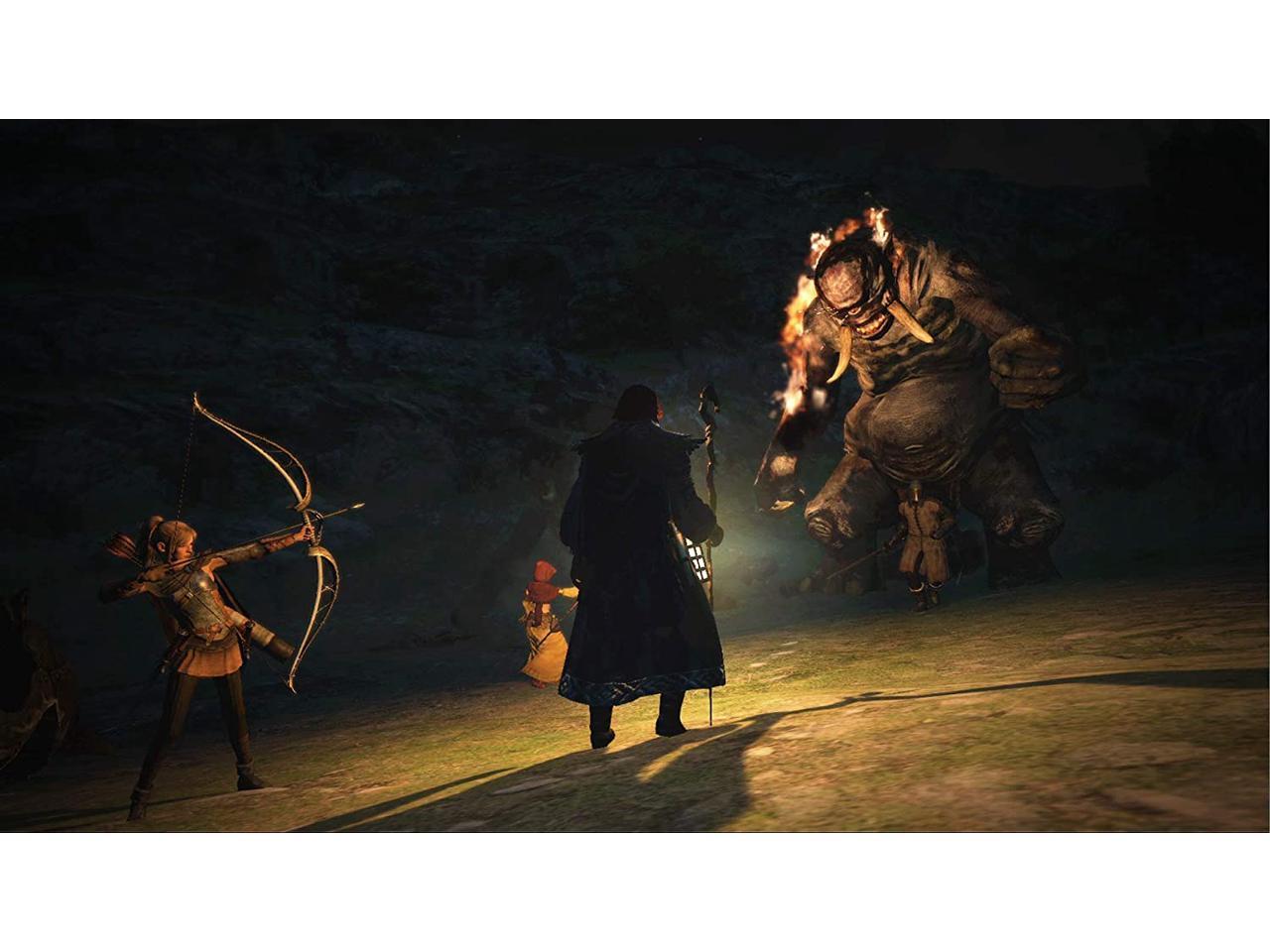 Dragons Dogma Dark Arisen Nintendo Switch Newegg Com