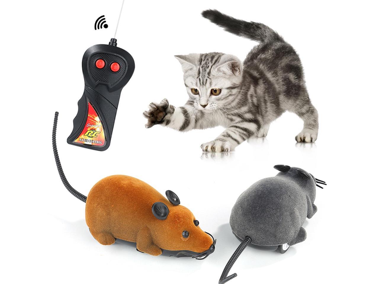Control кошка