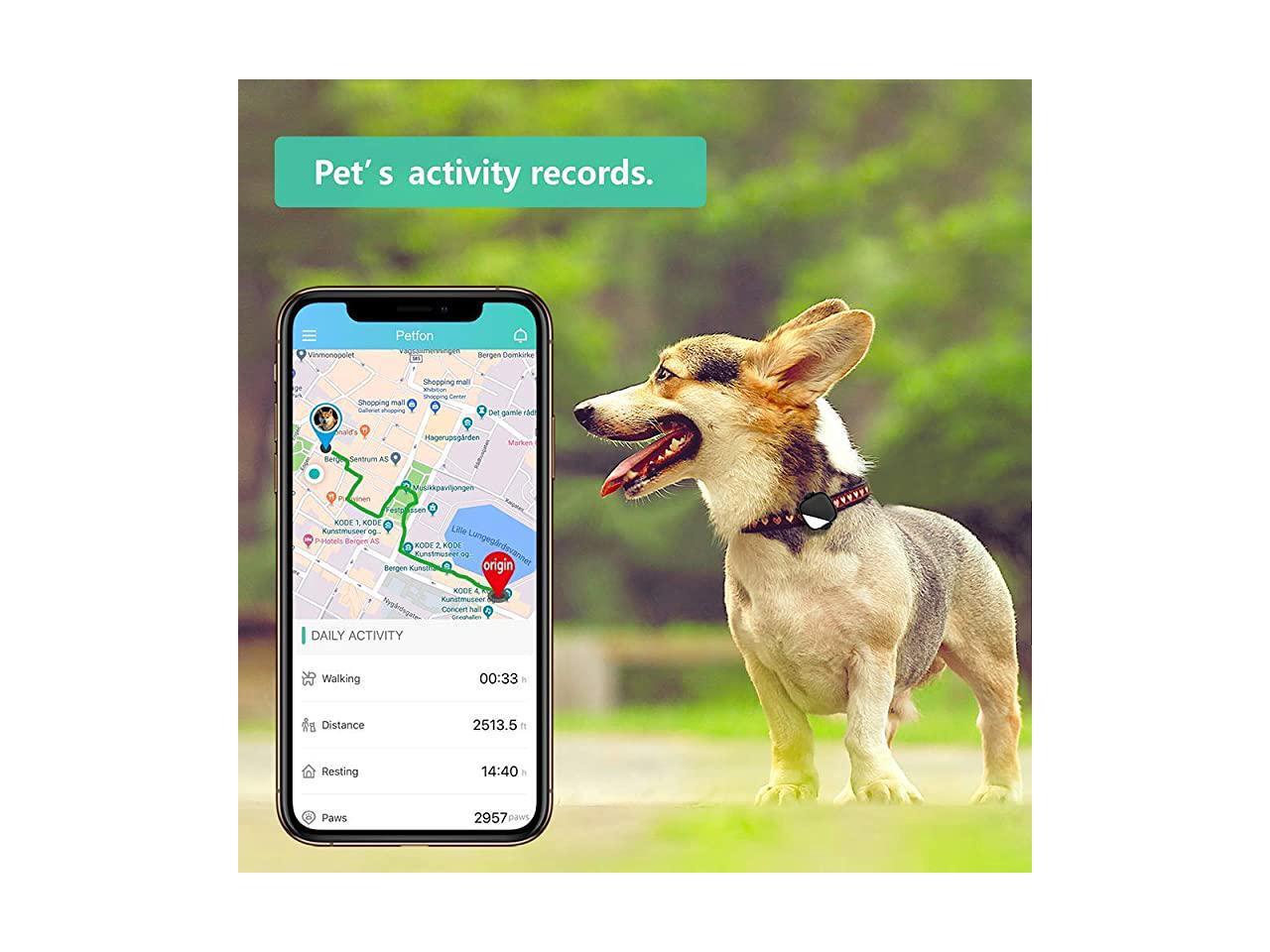 dog gps tracking without monthly fee