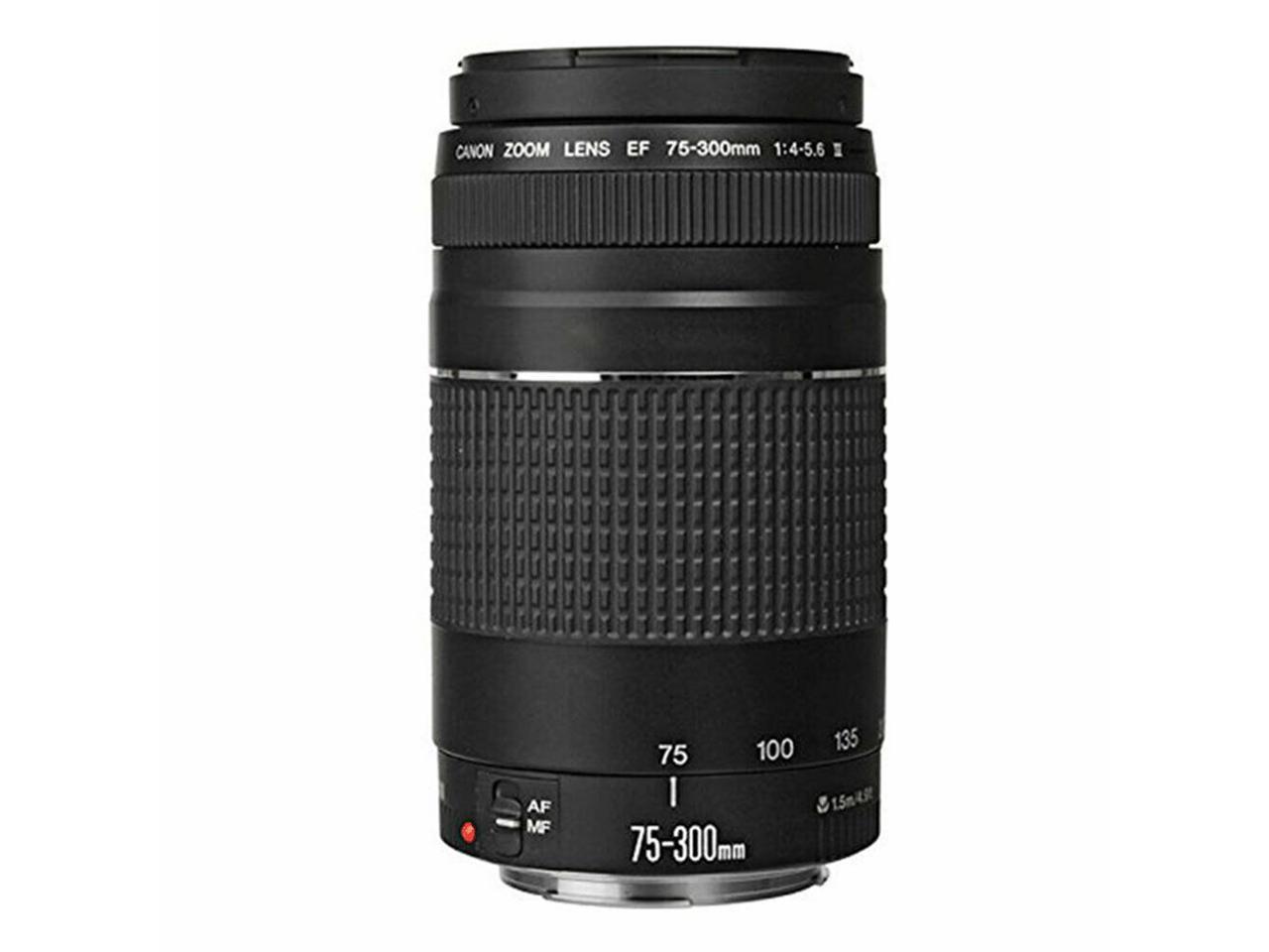 Canon Ef 75 300mm F 4 5 6 Iii Telephoto Zoom Lens For Canon Dslr Cameras Newegg Com