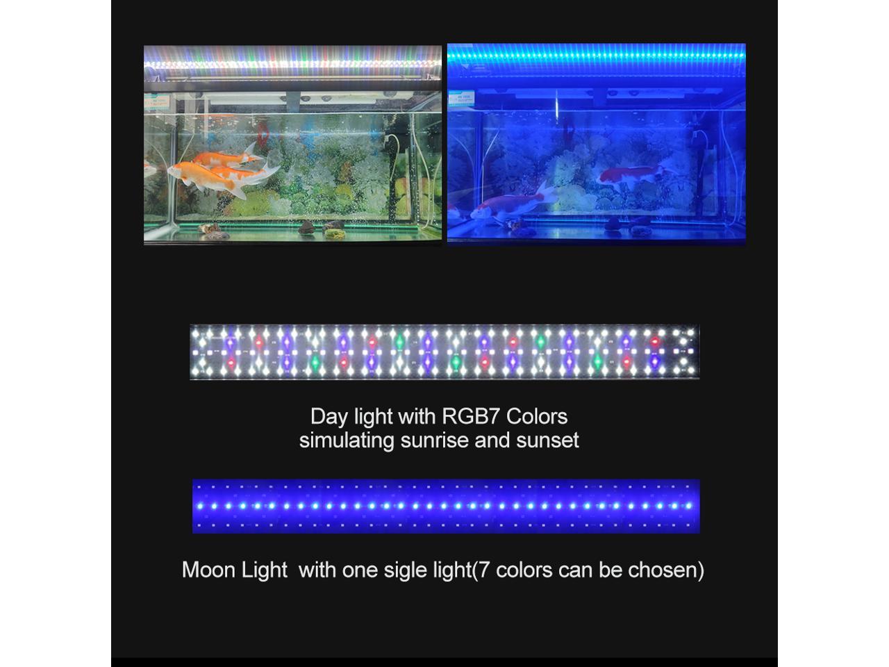 saltwater tank accessories