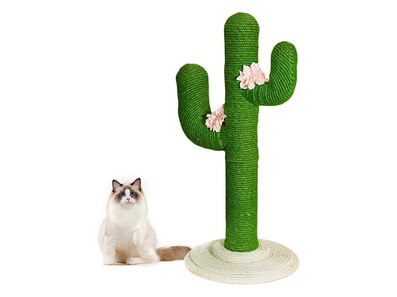 43 Best Photos Cactus Cat Scratcher Chewy / Buy Frisco Cactus Cat Scratching Post, 31-in at Chewy.com ...