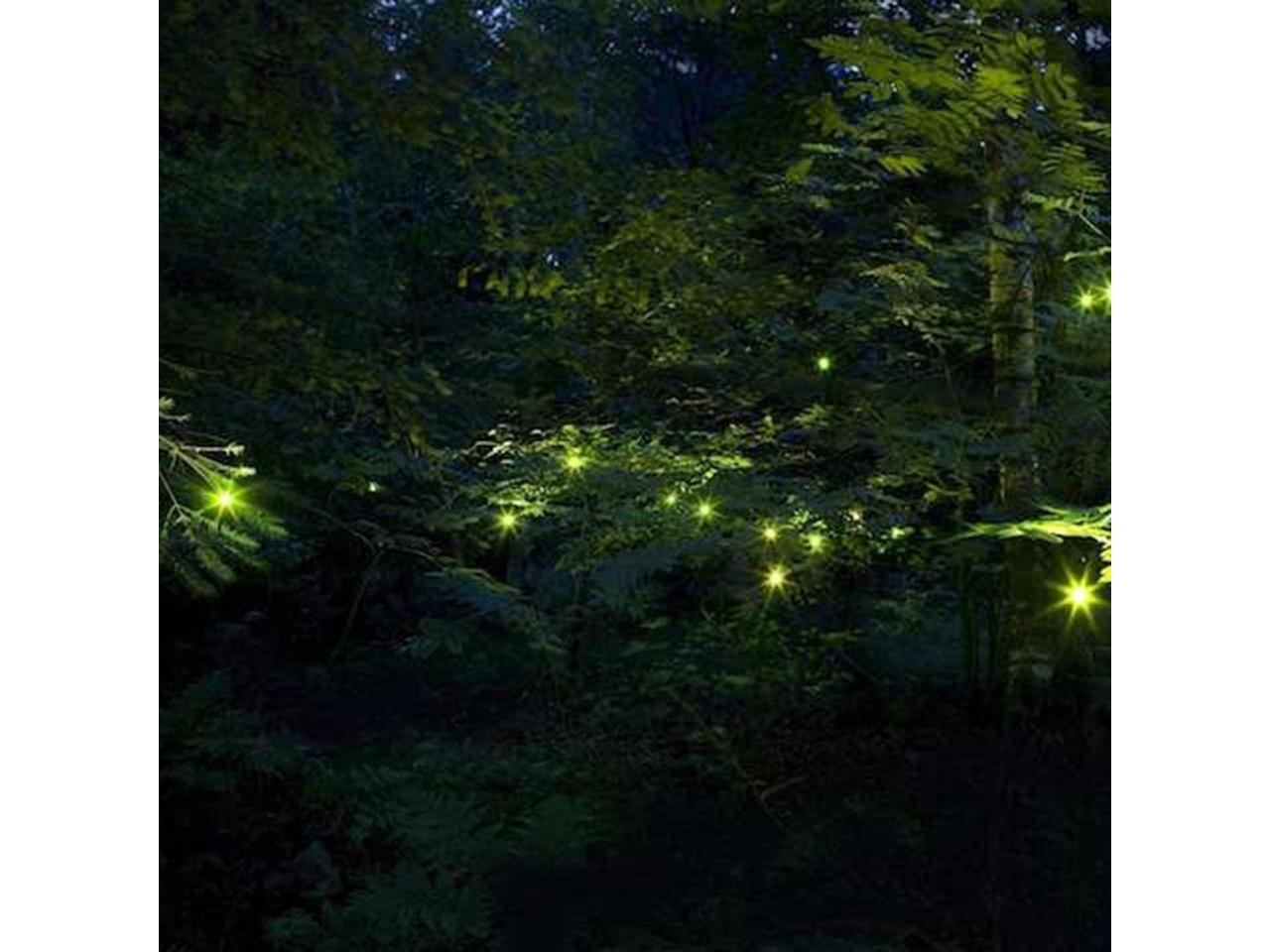 Solar Powered Firefly Lights Flickering Fireflies String Lights with 7