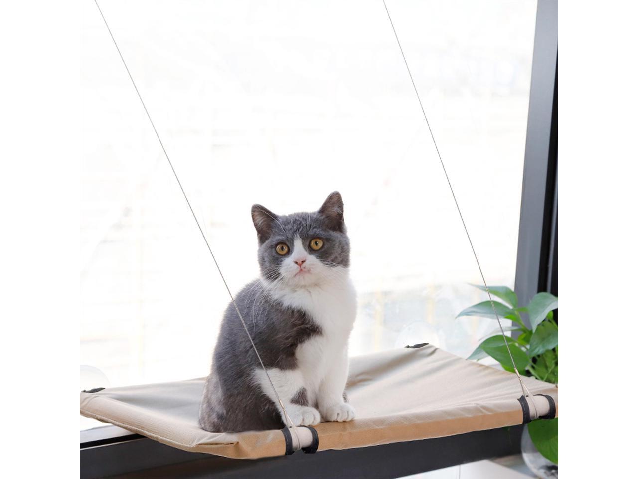 PAWISE Cat Window Perch Kitty Hammock Window Seat Cat Resting Sunny Seat Window Mounted Cat Bed