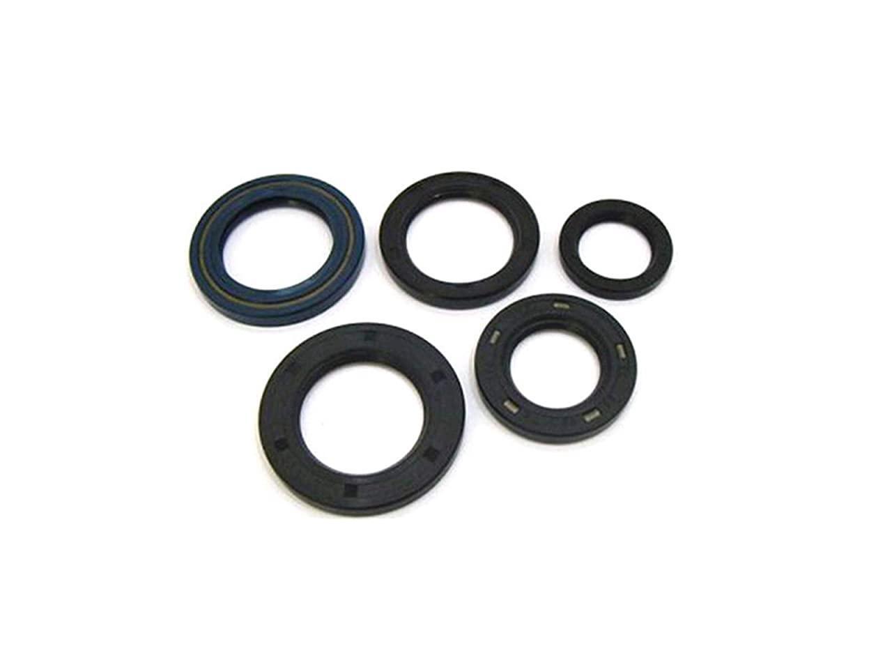 822281 Engine Oil Seal Kit