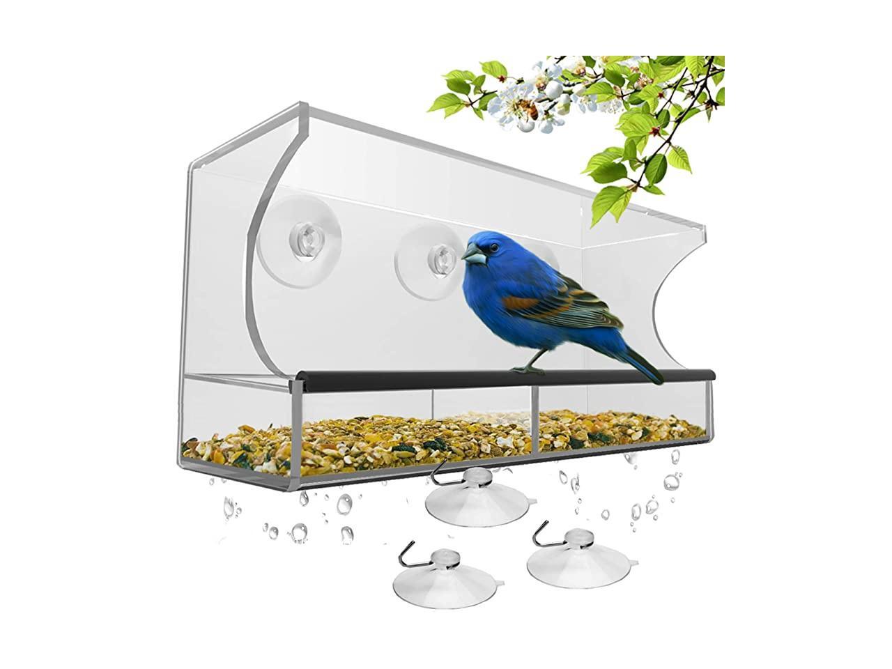 plastic bird feeder with suction cups