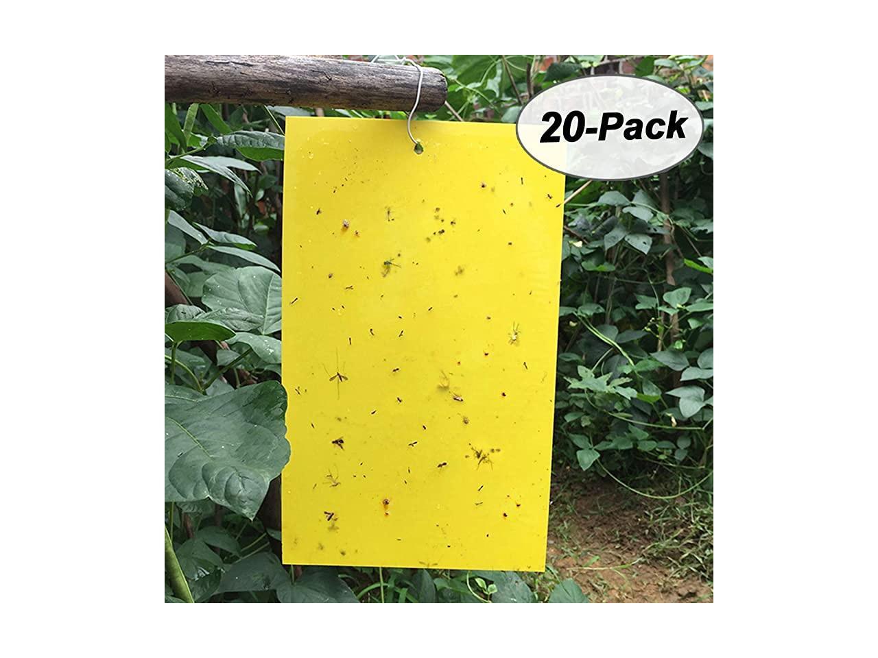 20Pack Dual-Sided Yellow Sticky Traps for Fungus Gnat Whitefly Leafminers Aphid