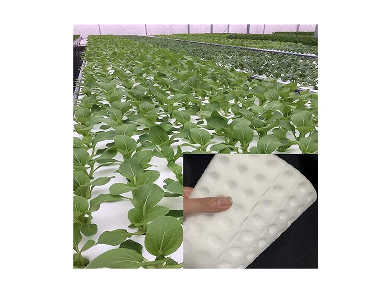 100Pcs Hydroponic Sponge Planting Gardening Tool Square Seedling